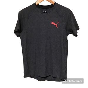 Puma Men’s Dark Gray Shirt S‎